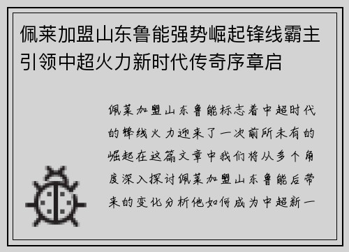 佩莱加盟山东鲁能强势崛起锋线霸主引领中超火力新时代传奇序章启